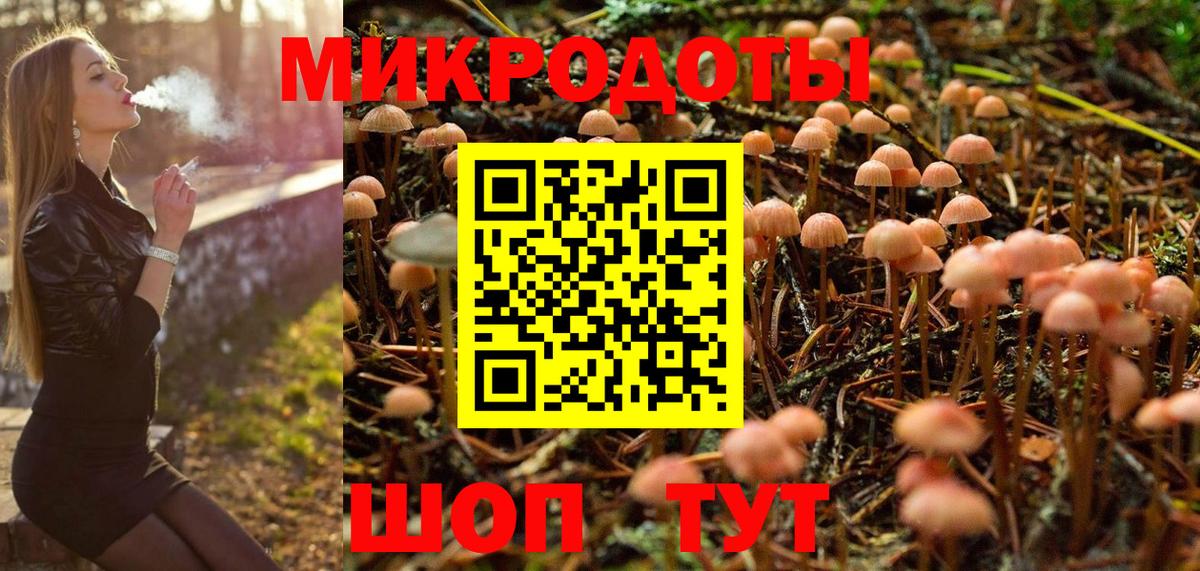 Псилоцибиновые грибы Psilocybe  Вход с VPN  Нижнекамск  Псилоцибиновые грибы MAGIC MUSHROOMS 
